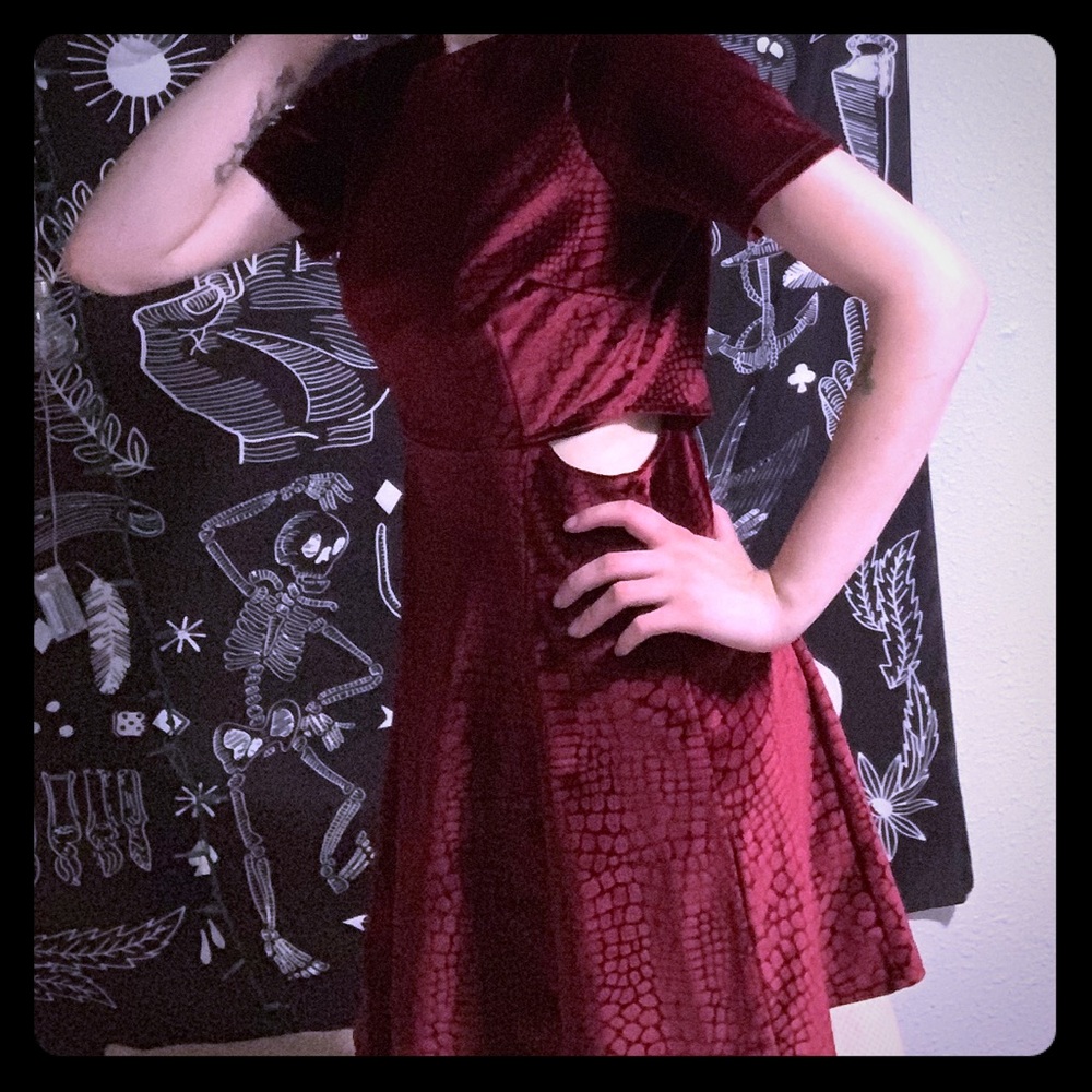 TopShop Dark Red Animal Print Velvet Dress